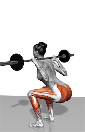 dumb bell in a gym - Barbell squat exercises (Part 1 of 2) Stock Photo - Premium Royalty-Free, Code: 671-02102725