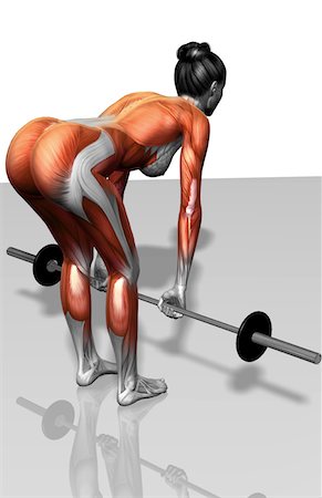simsearch:671-02102857,k - Barbell bent over row exercises (Part 2 of 2) Foto de stock - Royalty Free Premium, Número: 671-02102721
