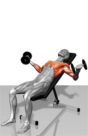 simsearch:671-02102857,k - Dumbbell incline fly exercises (Part 2 of 2) Foto de stock - Royalty Free Premium, Número: 671-02102806