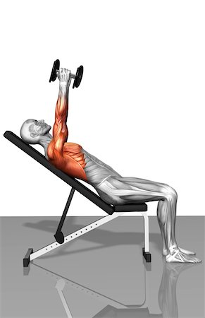 simsearch:671-02102857,k - Dumbbell incline fly exercises (Part 1 of 2) Foto de stock - Royalty Free Premium, Número: 671-02102810