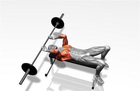 deltoid - Overhead barbell triceps extension (Part 2 of 2) Stock Photo - Premium Royalty-Free, Code: 671-02102844