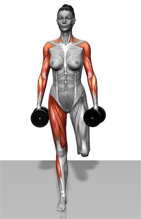 Single leg dead lift (Part 2 of 2) Stock Photo - Premium Royalty-Free, Code: 671-02102883