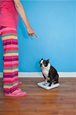 Woman looking at dog sitting on scales Fotografie stock - Premium Royalty-Free, Codice: 673-06025325