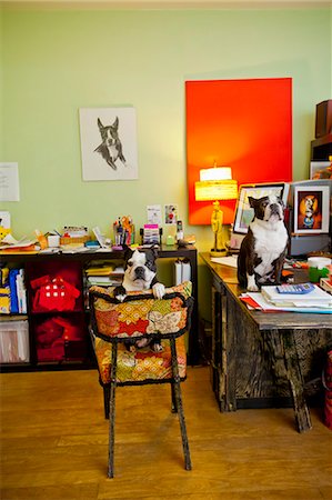 Dogs sitting at home office desk Foto de stock - Sin royalties Premium, Código: 673-06025351
