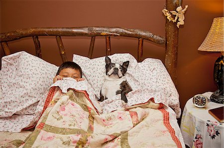 domestic dog - Boy in bed with Boston terrier Stock Photo - Premium Royalty-Free, Code: 673-06025400