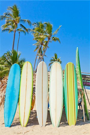 Row of surf boards on beach in Mexico Foto de stock - Sin royalties Premium, Código: 673-06025646
