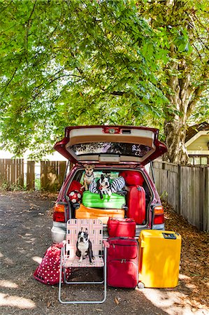 Dogs sit atop luggage piled into a packed car Photographie de stock - Premium Libres de Droits, Code: 673-08139146