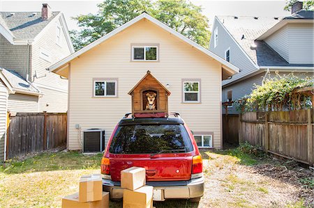 packed - Dog sits in a doghouse on top of a car with boxes ready to be packed Stock Photo - Premium Royalty-Free, Code: 673-08139155