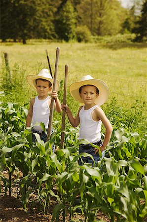 simsearch:673-02137877,k - Twin boys working on the family farm. Foto de stock - Royalty Free Premium, Número: 673-02137901