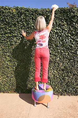 simsearch:673-02139120,k - Woman dusting the top of her hedge Stock Photo - Premium Royalty-Free, Code: 673-02139069