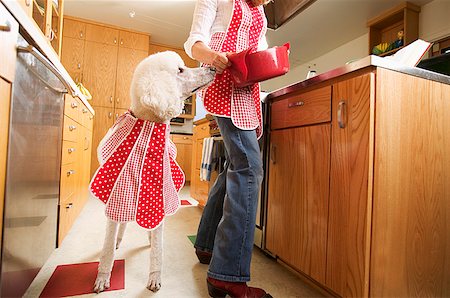 dogs and woman in kitchen - Poodle in kitchen wearing bib Stock Photo - Premium Royalty-Free, Code: 673-02139291