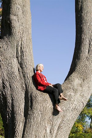 Woman sitting in crook of huge tree Stock Photo - Premium Royalty-Free, Code: 673-02140054
