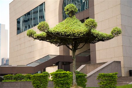 Pagoda topiary in square outside building Stock Photo - Premium Royalty-Free, Code: 673-02140649