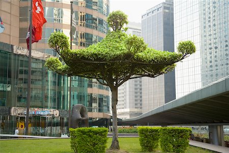 pagoda - Pagoda topiary in square with skyscrapers Foto de stock - Sin royalties Premium, Código: 673-02140650