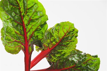 simsearch:600-07288072,k - Leaves of red Swiss chard Foto de stock - Royalty Free Premium, Número: 673-02140844