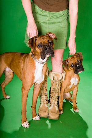 Faible section de femme avec deux chiens Photographie de stock - Premium Libres de Droits, Code: 673-02140951