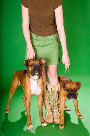 Faible section de femme avec deux chiens Photographie de stock - Premium Libres de Droits, Code: 673-02140953