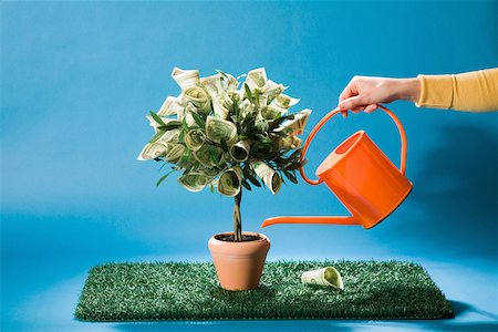 plants and economy - Woman watering money tree Stock Photo - Premium Royalty-Free, Code: 673-02141417