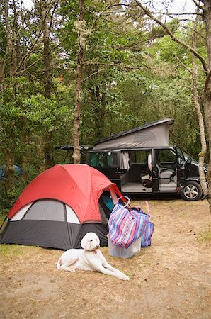 Tente de camping à l'extérieur au repos chien Photographie de stock - Premium Libres de Droits, Code: 673-02141621