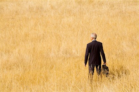 Businessman standing in field Stock Photo - Premium Royalty-Free, Code: 673-02141798