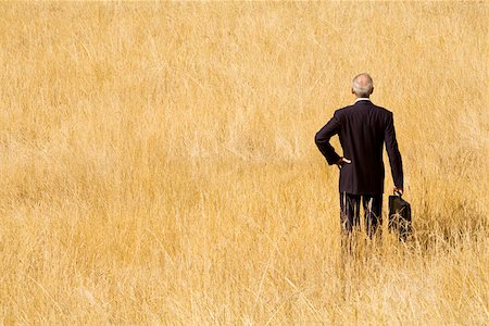 Businessman standing in field Foto de stock - Sin royalties Premium, Código: 673-02141793