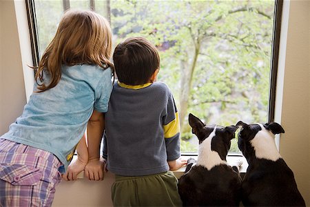 simsearch:673-02143876,k - Young children and dogs looking out the window Fotografie stock - Premium Royalty-Free, Codice: 673-02142669