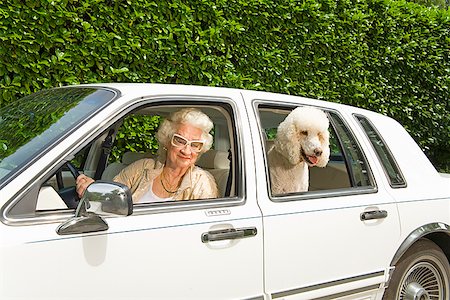 fashion photography elderly women - Senior woman and dog in car Stock Photo - Premium Royalty-Free, Code: 673-02142798