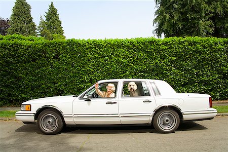street woman retro - Senior woman and dog in car Stock Photo - Premium Royalty-Free, Code: 673-02143203