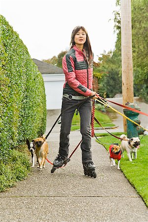 paseadora de perros - Asian woman on rollerblades walking dogs Foto de stock - Sin royalties Premium, Código: 673-02143479