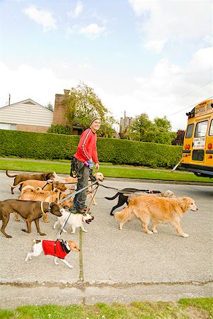 dog pets group - Man on rollerblades walking dogs Stock Photo - Premium Royalty-Free, Code: 673-02143489