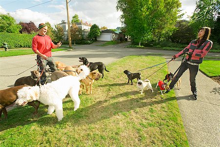 paseadora de perros - Man and woman walking dogs Foto de stock - Sin royalties Premium, Código: 673-02143502