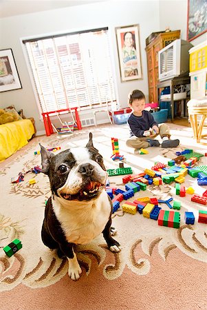 simsearch:673-02143801,k - Dog next to Asian boy playing with blocks Fotografie stock - Premium Royalty-Free, Codice: 673-02143944