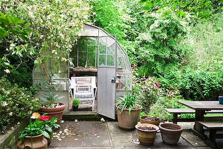 pacific northwest - Greenhouse in tranquil backyard garden Foto de stock - Sin royalties Premium, Código: 673-02216458