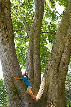 Girl hugging a tree Stock Photo - Premium Royalty-Free, Code: 673-02386373