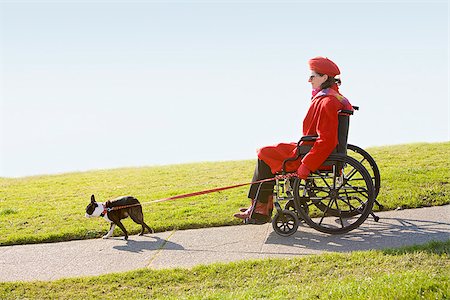 Femme en fauteuil roulant en prenant son chien pour une promenade Photographie de stock - Premium Libres de Droits, Code: 673-02801294