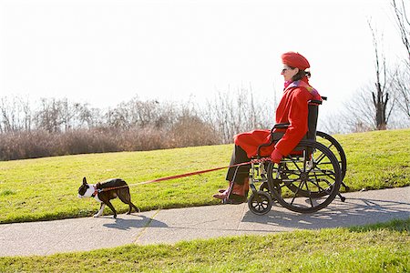 exercising dog - Woman in wheelchair taking her dog for a walk Stock Photo - Premium Royalty-Free, Code: 673-02801293