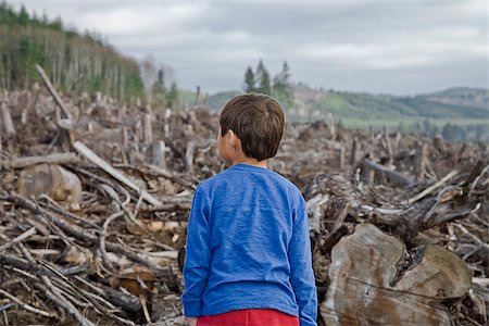 devastation - Young boy looking out at cleared landscape of fallen trees Foto de stock - Sin royalties Premium, Código: 673-02801435