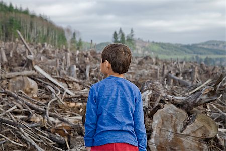 Young boy looking out at cleared landscape of fallen trees Foto de stock - Sin royalties Premium, Código: 673-02801435