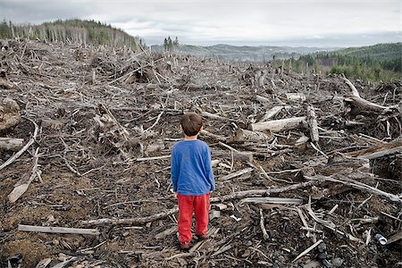 simsearch:600-05641781,k - Young boy looking out at cleared landscape of fallen trees Foto de stock - Sin royalties Premium, Código: 673-02801430