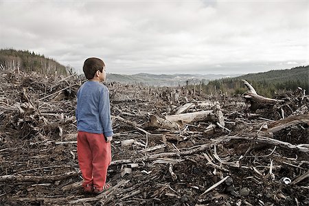 dead tree branched - Young boy looking out at cleared landscape of fallen trees Stock Photo - Premium Royalty-Free, Code: 673-02801432