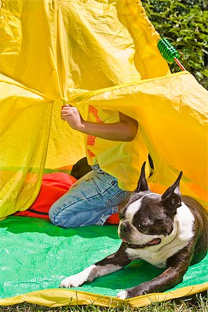 simsearch:673-03405747,k - Boy with dogs in backyard tent Foto de stock - Sin royalties Premium, Código: 673-03005647