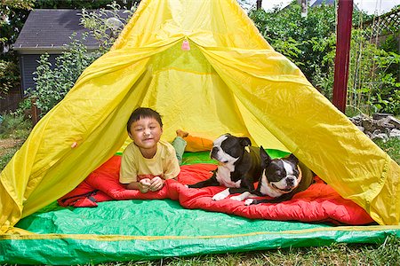 Boy with dogs in backyard tent Stock Photo - Premium Royalty-Free, Code: 673-03005640