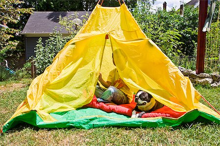 simsearch:673-03405747,k - Boy with dogs in backyard tent Foto de stock - Sin royalties Premium, Código: 673-03005643