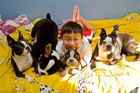 dog in bed - boy on bed with dogs and toys Stock Photo - Premium Royalty-Free, Code: 673-03623300