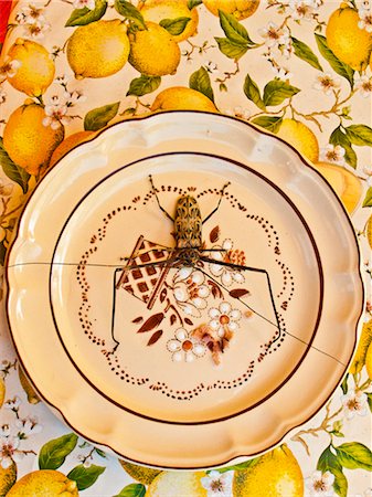 harlequin beetle on flowered dinner plate Fotografie stock - Premium Royalty-Free, Codice: 673-03826543