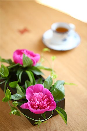 Arranged flower on table Stock Photo - Premium Royalty-Free, Code: 685-02938050