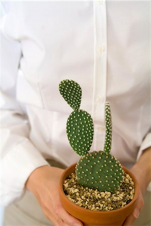 simsearch:685-02938245,k - Une femme tenant un cactus en pot Photographie de stock - Premium Libres de Droits, Code: 685-02938263