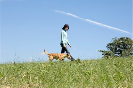 simsearch:685-02939247,k - Young woman walking dog Foto de stock - Royalty Free Premium, Número: 685-02939232