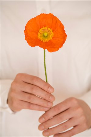 simsearch:685-02940140,k - Young woman holding poppy Stock Photo - Premium Royalty-Free, Code: 685-02940427