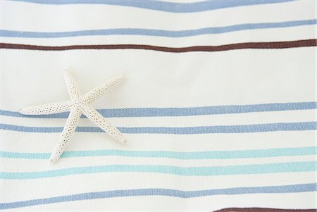 estrella de mar - Starfish Foto de stock - Sin royalties Premium, Código: 685-02941108